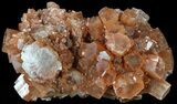 Aragonite Twinned Crystal Cluster - Morocco #49262-1